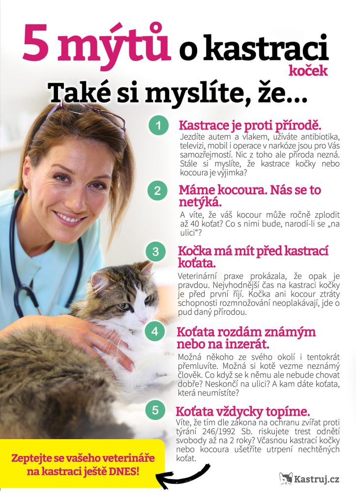 5&nbsp;mýtů o&nbsp;kastraci koček